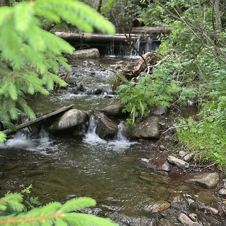 Zrub House карпати