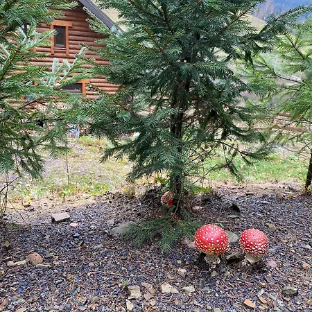 Zrub House карпати شاليه