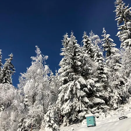 Zrub House карпати Chalet