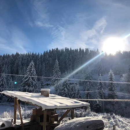 Chalet Zrub House карпати Nizhnyaya Rozhanka