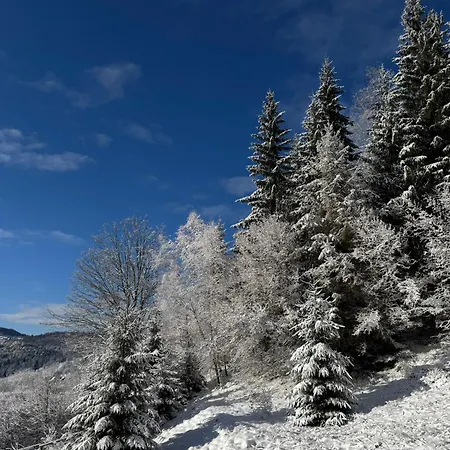 Zrub House карпати Nizhnyaya Rozhanka
