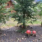 Zrub House карпати Horská chata